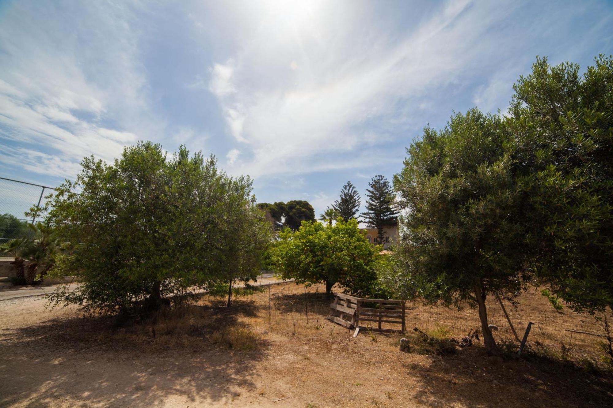 Villa Amodeo Paceco Buitenkant foto